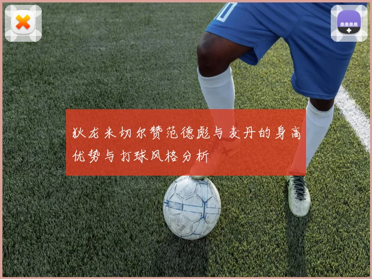 狄龙米切尔赞范德彪与麦丹的身高优势与打球风格分析
