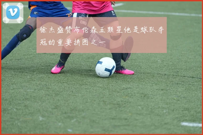 徐杰盛赞布伦森五颗星他是球队夺冠的重要拼图之一