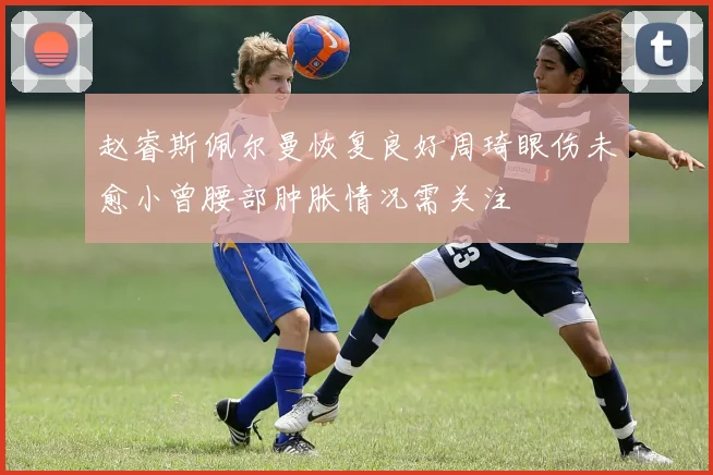 赵睿斯佩尔曼恢复良好周琦眼伤未愈小曾腰部肿胀情况需关注